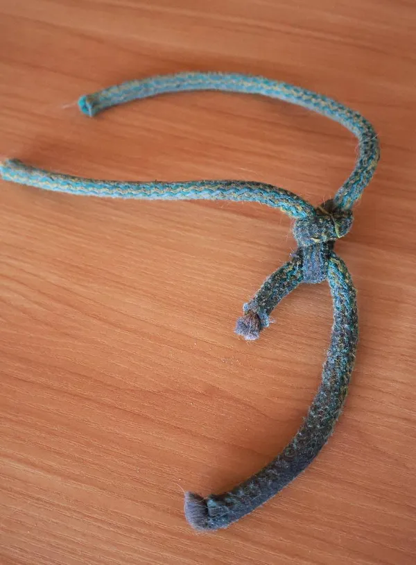 Znaleziono psa, Łódź, 1 września 2025 (5/5)