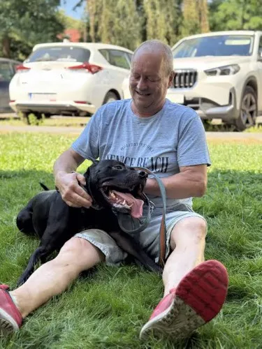 Pies do adopcji, Kraków, 18 sierpnia 2025 (1/5)