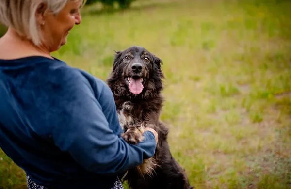Oddam psa, Łowicz, Korabka, 3 września 2025 (4/5)