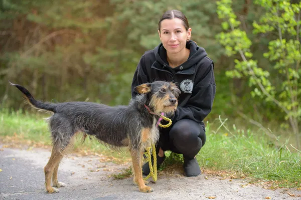 Pies do adopcji, Nowodwór, 2 września 2025 (2/5)