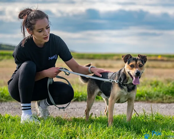 Znaleziono psa, Racławice, 3 września 2025 (4/5)