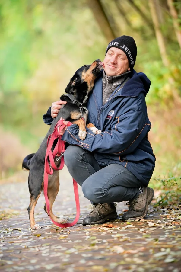 Znaleziono psa, Sosnowiec, 4 września 2025 (3/5)