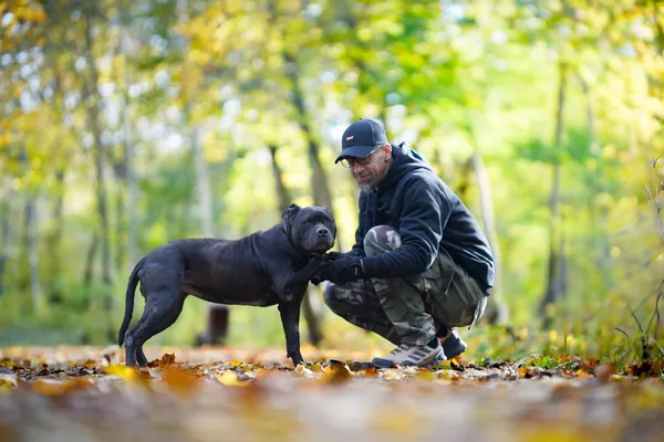 Znaleziono psa, Sosnowiec, 4 września 2025 (3/5)