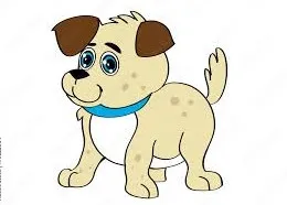 Pies do adopcji, Kraków, 27 lipca 2025