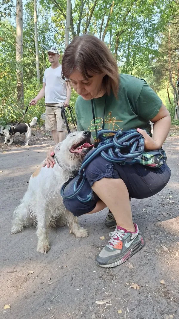 Oddam psa, Warszawa, Jelonki Południowe, 10 września 2025 (2/5)