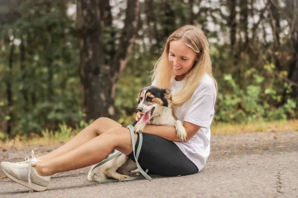 Pies do adopcji, Nowodwór, 15 września 2025 (2/5)