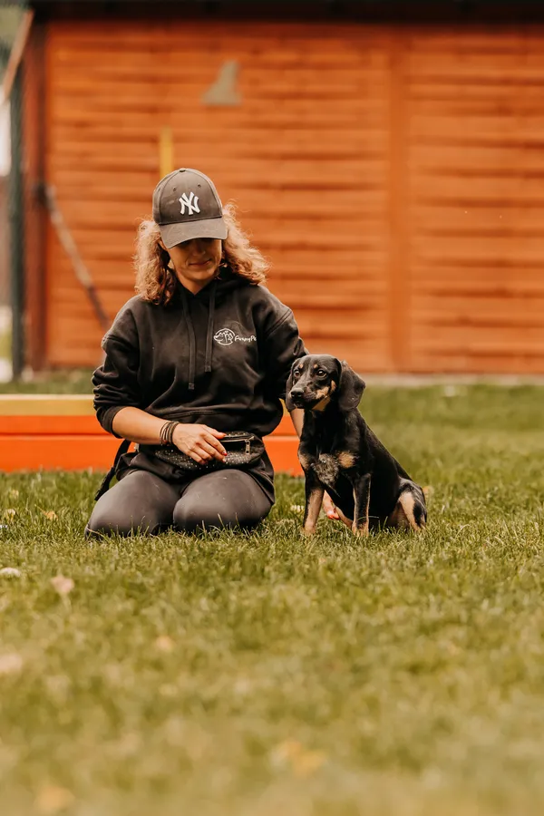 Pies do adopcji, Czartki, 17 września 2025 (4/5)