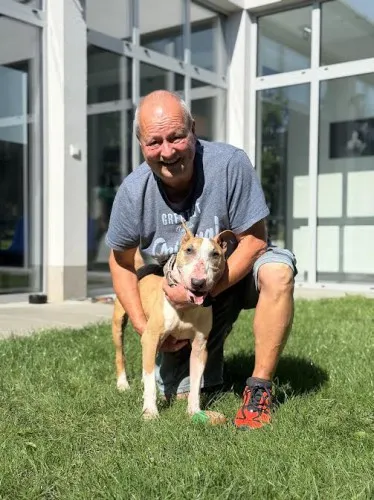 Pies do adopcji, Kraków, 5 września 2025 (1/5)