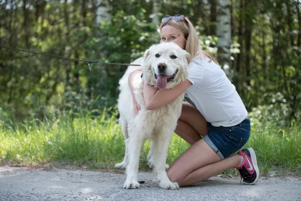 Pies do adopcji, Nowodwór, 7 lipca 2025 (5/5)