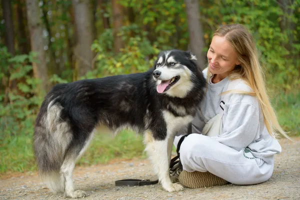 Pies do adopcji, Nowodwór, 22 września 2025 (4/5)