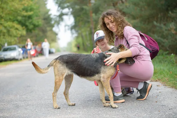 Pies do adopcji, Nowodwór, 22 września 2025 (2/5)