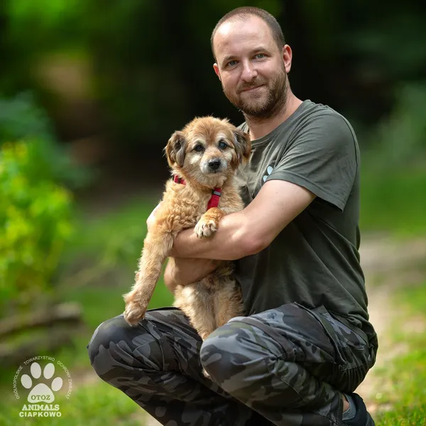 Pies do adopcji, Gdynia, 25 września 2025 (4/4)