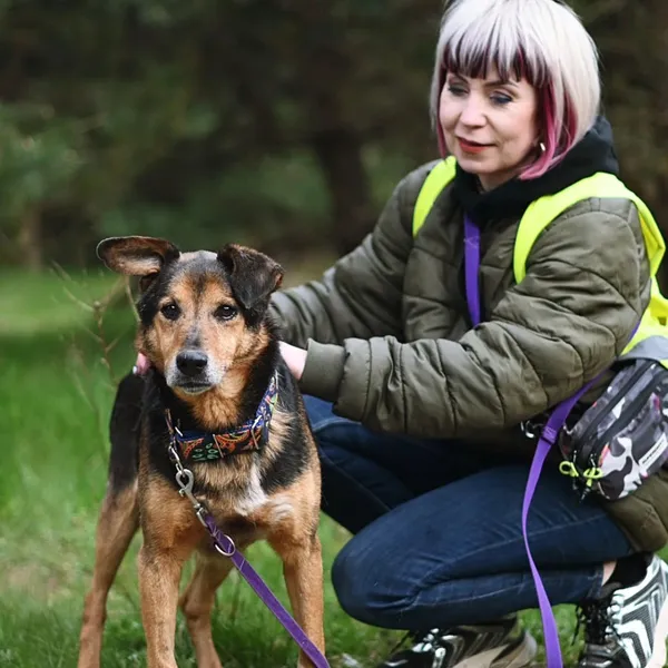 Znaleziono psa, Białystok, 31 grudnia 2023 (5/5)