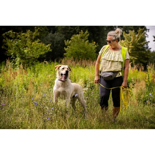 Znaleziono psa, Białystok, 21 czerwca 2025 (4/5)