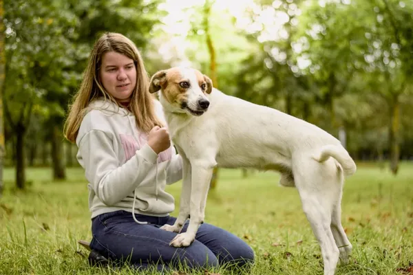 Pies do adopcji, Radom, 4 grudnia 2025 (5/5)