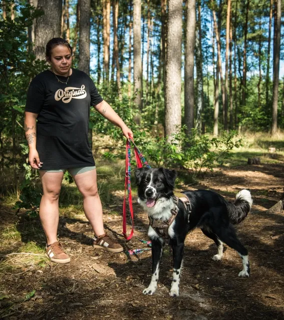 Pies do adopcji, Piła, 23 sierpnia 2025 (4/4)