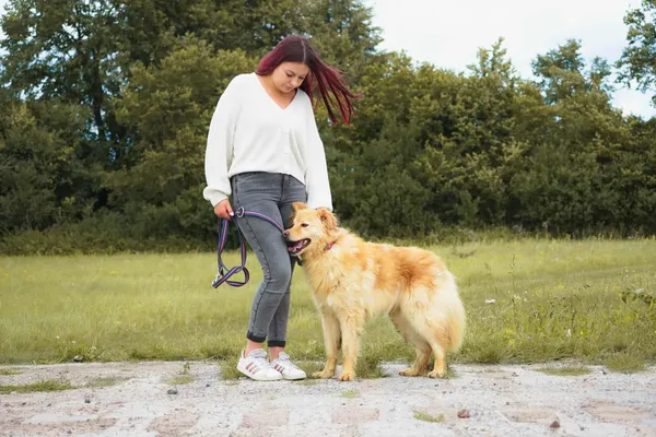 Oddam psa, gmina Leszno, 2 października 2025 (2/4)