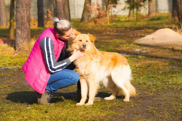 Oddam psa, gmina Leszno, 2 października 2025 (3/4)