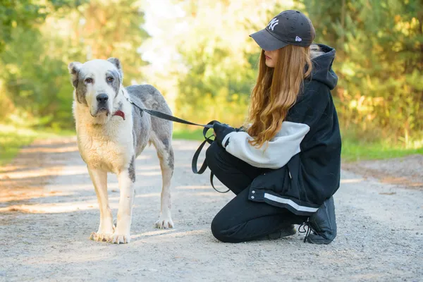 Pies do adopcji, Nowodwór, 10 października 2025 (5/5)