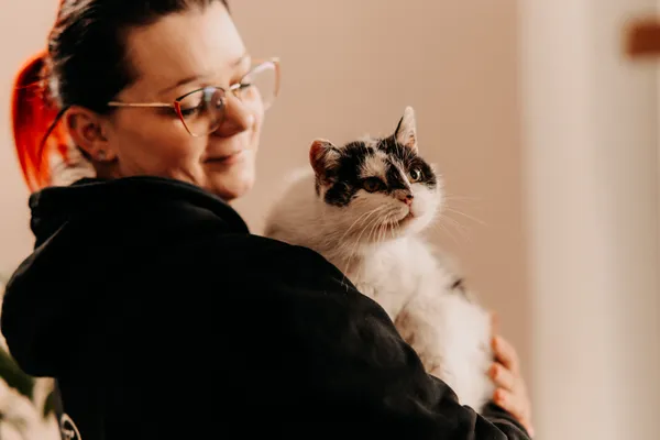 Kot do adopcji, Czartki, 17 lipca 2025 (1/5)