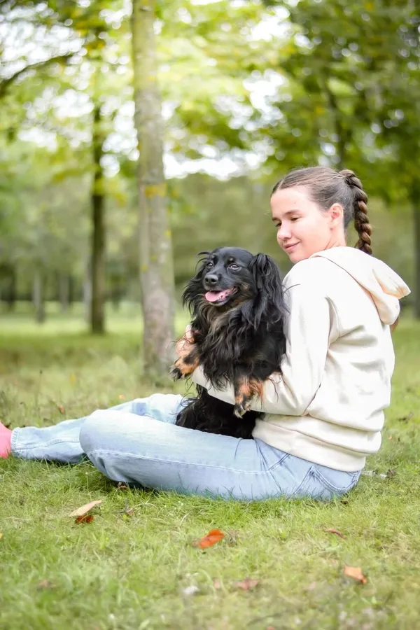 Pies do adopcji, Radom, 16 października 2025 (3/5)