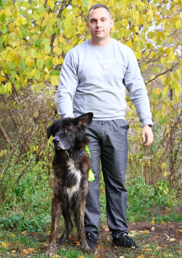 Znaleziono psa, Łódź, 13 października 2025 (5/5)