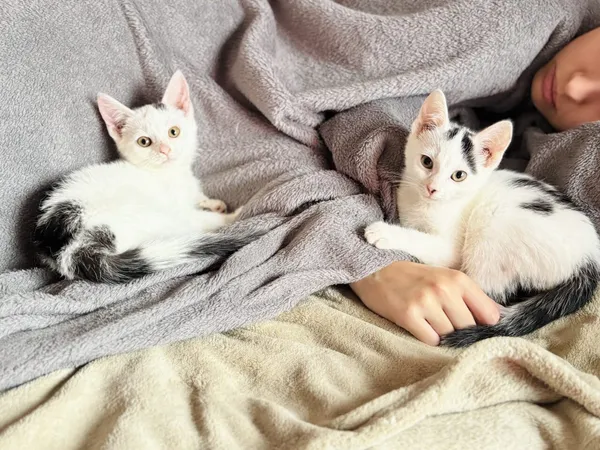 Oddam kota, Warszawa, Nowolipki, 18 października 2025 (2/4)