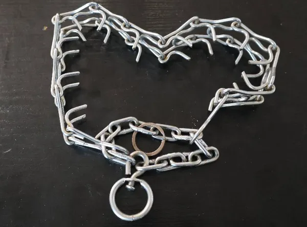 Znaleziono psa, Łódź, 18 października 2025 (2/5)