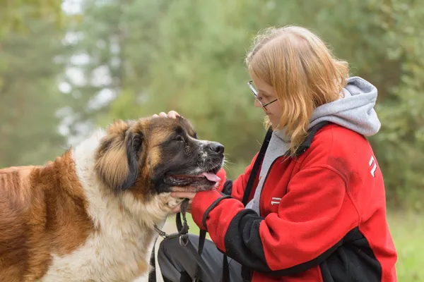 Pies do adopcji, Nowodwór, 20 października 2025 (1/5)