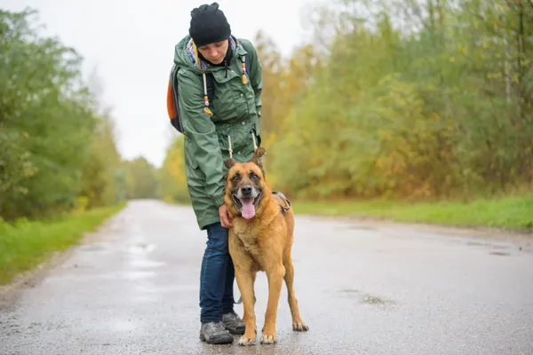 Pies do adopcji, Nowodwór, 20 października 2025 (3/5)