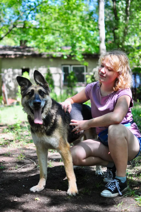 Oddam psa, Warszawa, Młynów, 23 października 2025 (2/6)