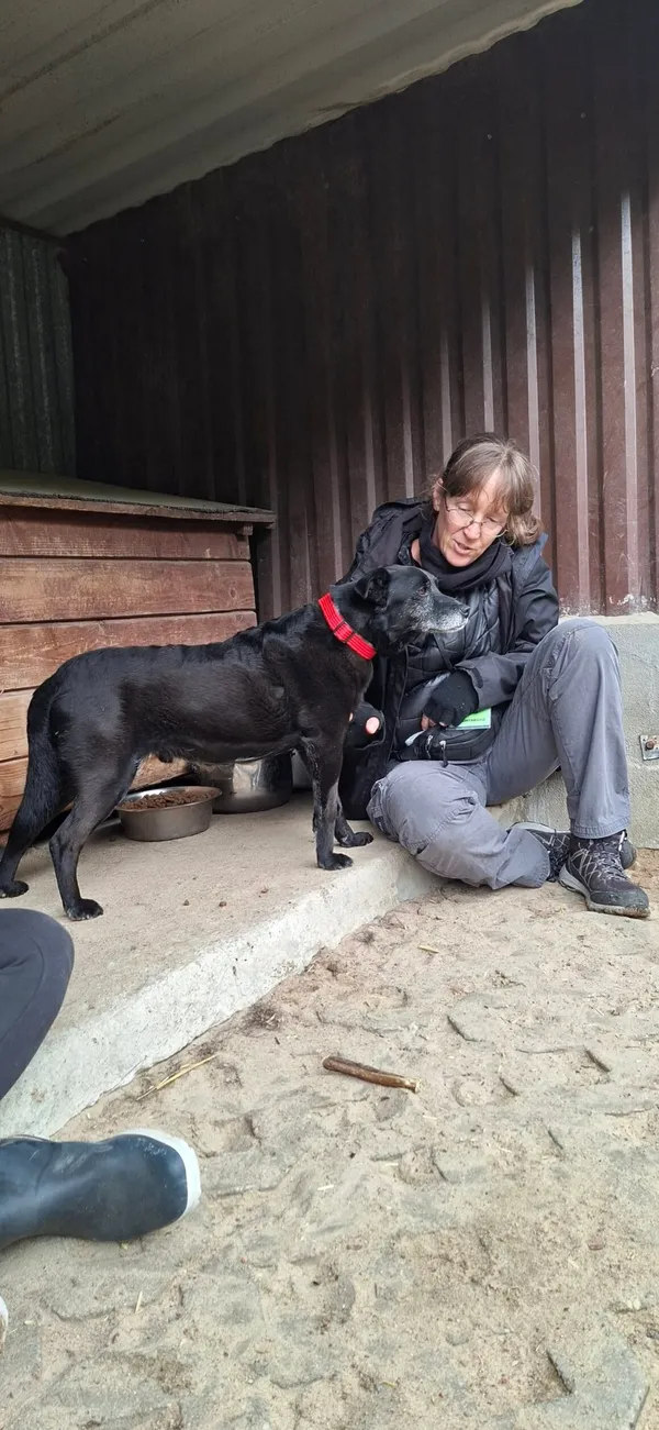 Oddam psa, Warszawa, Henryków, 24 października 2025 (2/6)