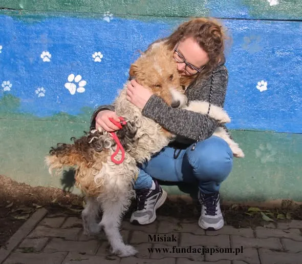 Pies do adopcji, Nowy Dwór Mazowiecki, 24 października 2025 (3/5)