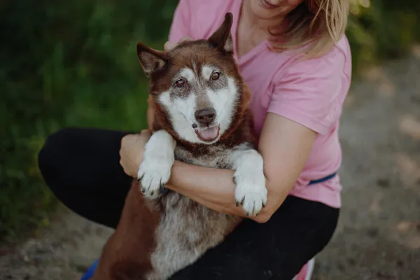 Oddam psa, Olsztyn, Dajtki, 25 października 2025 (1/4)