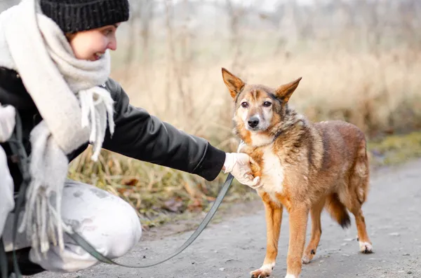 Oddam psa, Olsztyn, Dajtki, 25 października 2025 (3/5)