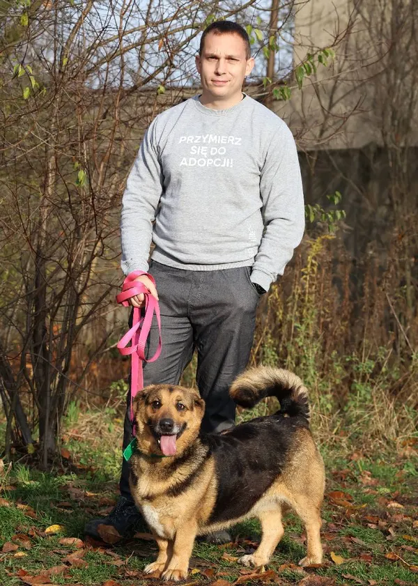 Znaleziono psa, Łódź, 27 października 2025 (3/5)