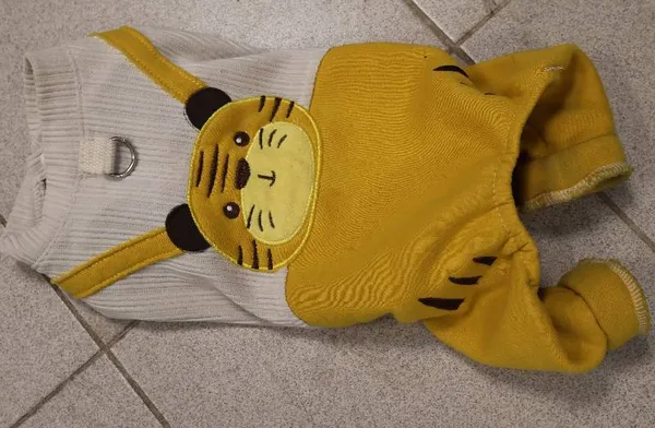 Znaleziono psa, Łódź, 28 października 2025 (3/3)