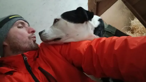 Pies do adopcji, Milanówek, 15 lutego 2026 (4/5)