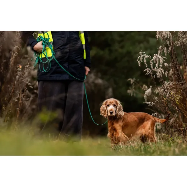 Znaleziono psa, Białystok, 26 września 2025 (3/5)