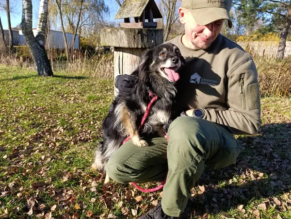 Pies do adopcji, Bełchatów, 14 października 2025 (4/5)