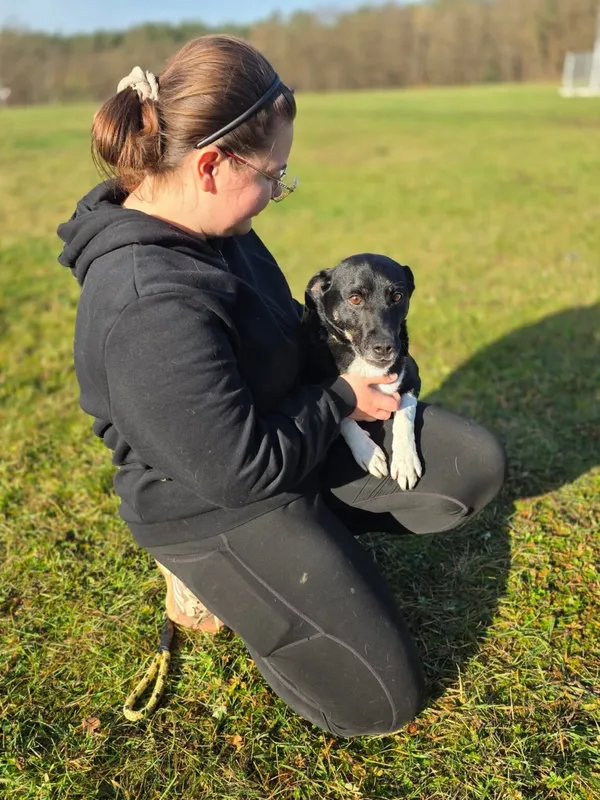 Pies do adopcji, Radom, 23 listopada 2025 (2/5)