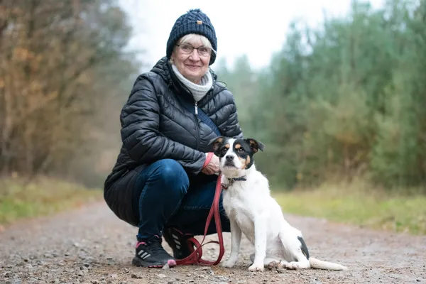 Pies do adopcji, Nowodwór, 13 listopada 2025 (4/5)