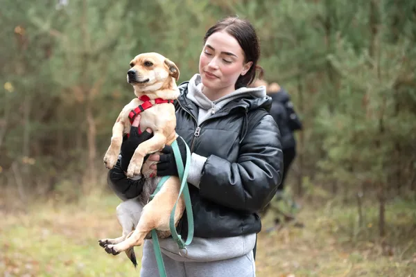 Pies do adopcji, Nowodwór, 13 listopada 2025 (1/5)