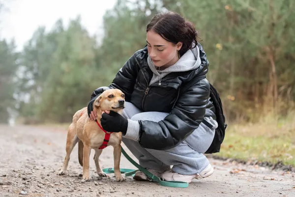 Pies do adopcji, Nowodwór, 13 listopada 2025 (5/5)