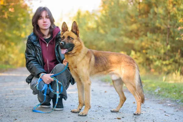 Pies do adopcji, Nowodwór, 13 listopada 2025 (4/5)