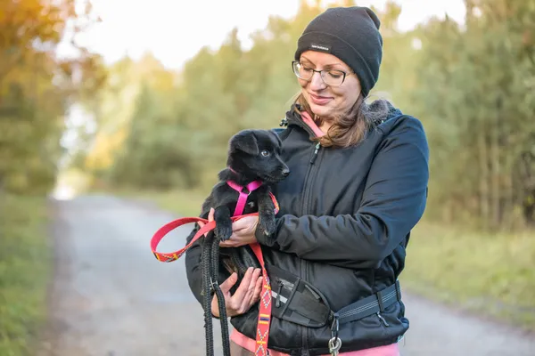 Pies do adopcji, Nowodwór, 13 listopada 2025 (3/5)