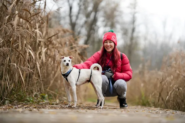 Pies do adopcji, Sosnowiec, 17 października 2025 (2/5)