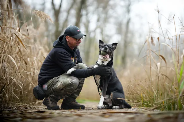 Pies do adopcji, Sosnowiec, 20 października 2025 (1/5)