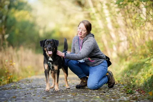 Pies do adopcji, Sosnowiec, 17 września 2025 (4/5)