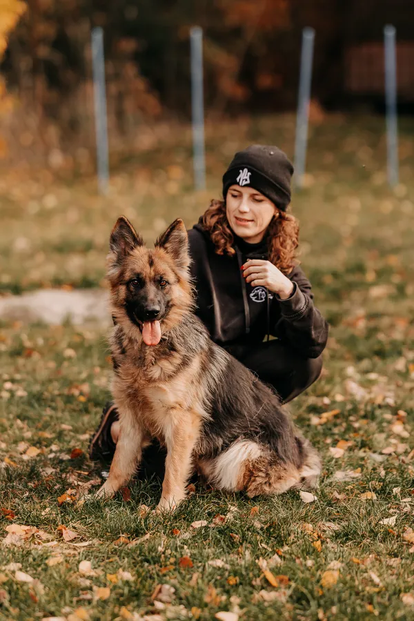 Pies do adopcji, Czartki, 19 listopada 2025 (3/5)